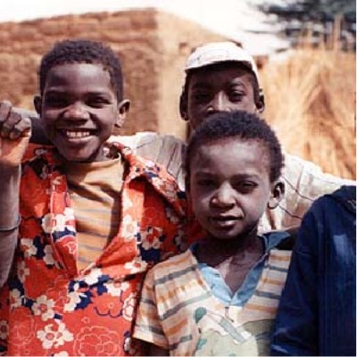The image is a detail from the a photo titled "Boys at Boubon, Niger 1992" from Gallery 5 of the site.  It shows three Nigerian boys posing for a picture.