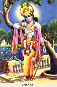 image of the god krishna